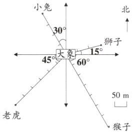 老虎猴子