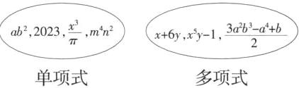 单项式多项式