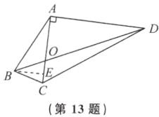 第13题