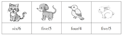 five5five5six6four4