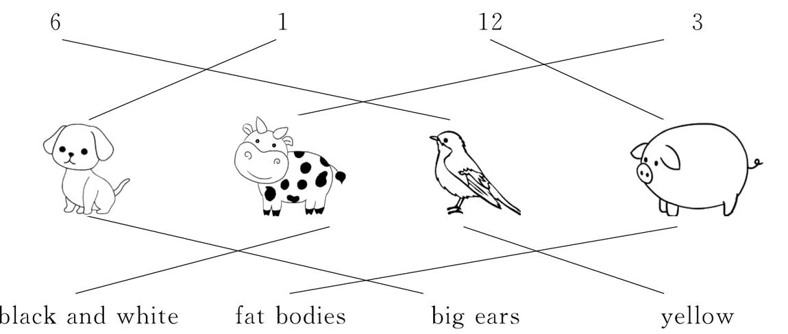 blackandwhitefatbodiesbigearsyellow