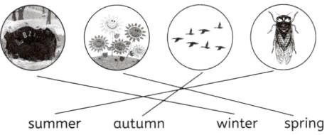 winterspringsummerautumn