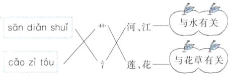 蓬花与花有关coztou