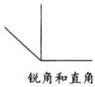 锐角和直角