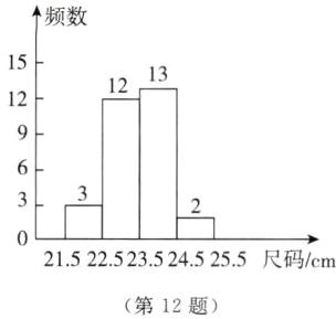 215225235245255尺码cm第12题