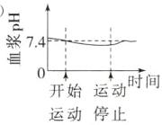 运动时间开始运动停止