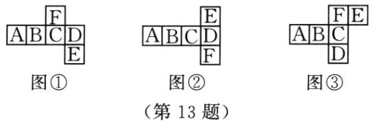 图图图第13题