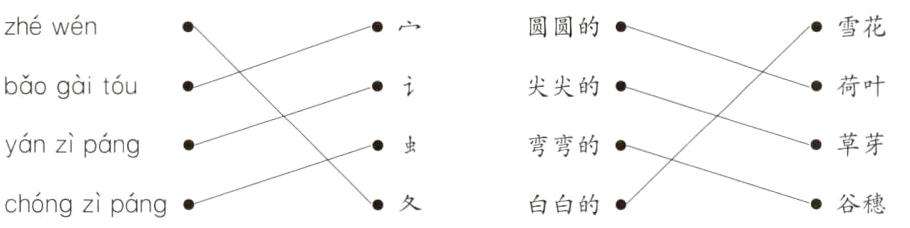 chngzpng谷穗白白的