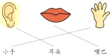 小手嘴巴耳朵