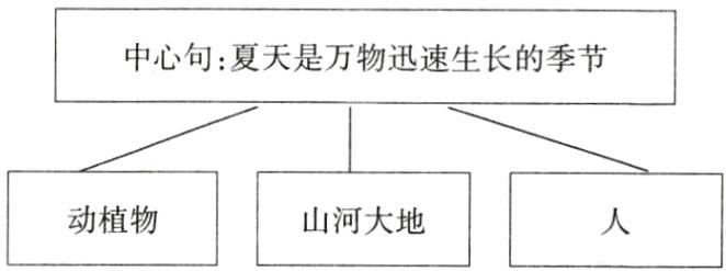 动植物山河大地