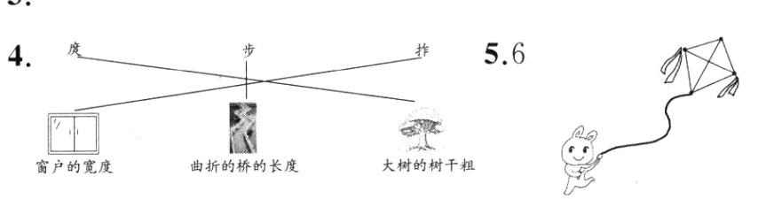大树的树干粗曲折的桥的长度窗户的宽度