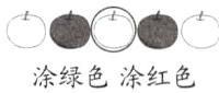涂绿色涂红色