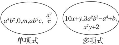 xy2单项式多项式