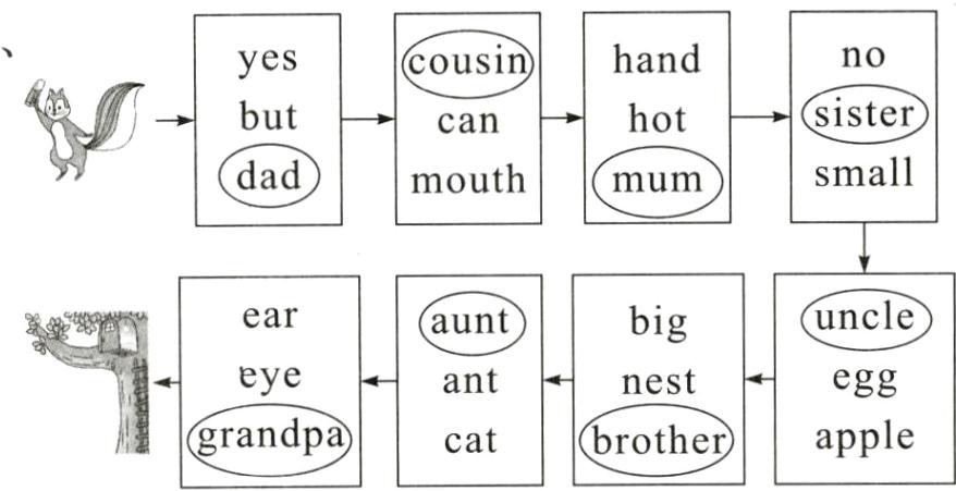 grandpacatbrotherapple