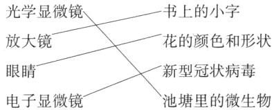 新型冠状病毒眼睛电子显微镜池塘里的微生物