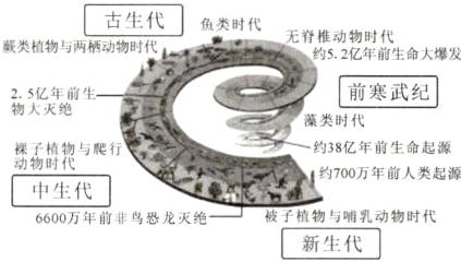 中生代6600万年前非鸟恐龙灭绝一被子植物与哺乳动物时代新生代