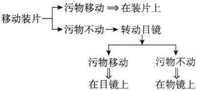 污物不动污物移动在目镜上在物镜上
