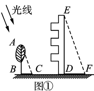 图