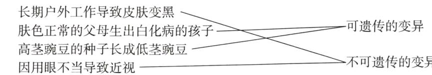 高茎豌豆的种子长成低茎豌豆不可遗传的变异因用眼不当导致近视