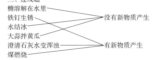 有新物质产生澄清石灰水变浑浊煤燃烧