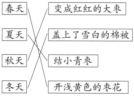 冬天开浅黄色的枣花
