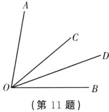 第11题