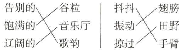 掠过手臂