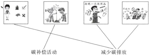 碳补偿活动减少碳排放