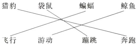 飞行游动蹦跳奔跑