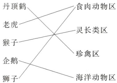 海洋动物区狮子