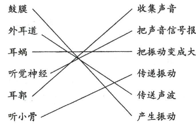 产生振动听小骨