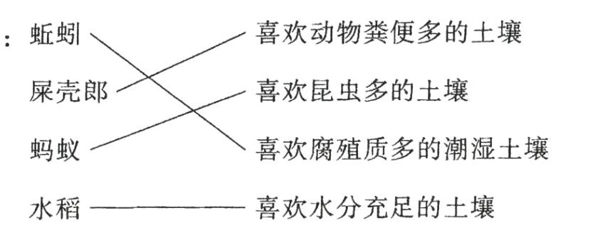 喜欢水分充足的土壤水稻