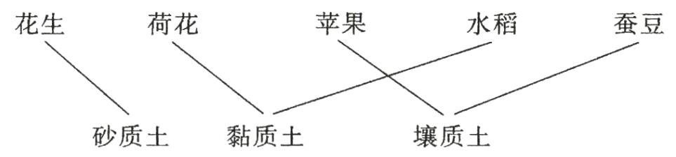 砂质土壤质土黏质土