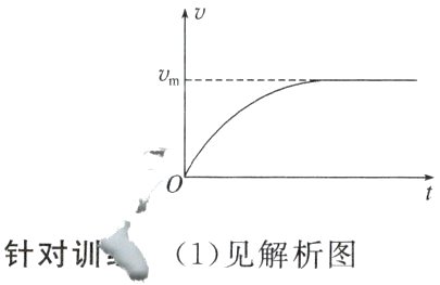 针对训1见解析图