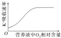 营养液中O2相对含量
