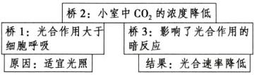桥1光合作用大桥3影响了光合作用的细胞呼吸暗反应原因适宜光照结果光合速率降低