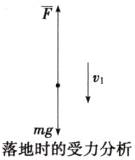 落地时的受力分析
