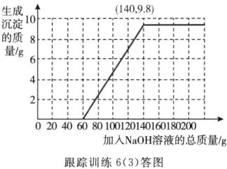 加入NaOH溶液的总质量g跟踪训练63答图