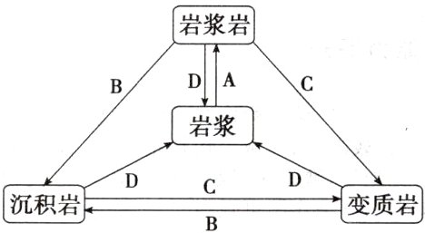 DCD沉积岩变质岩