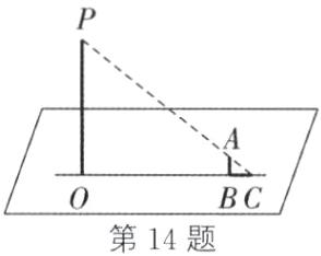 第14题