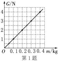 001020304mkg第1题