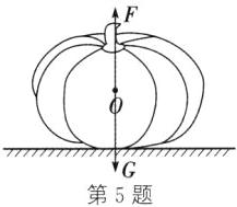 第5题