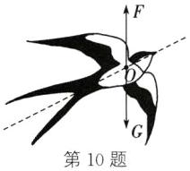 第10题