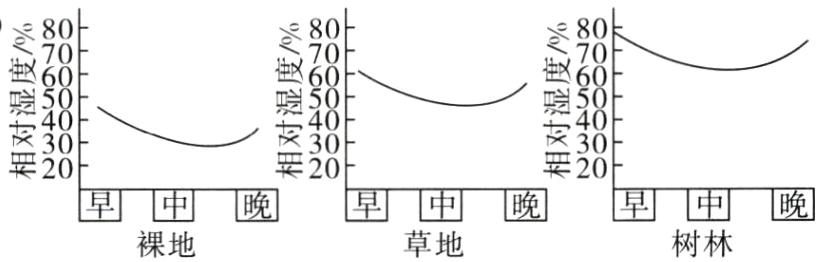 早中晚早中晚早中晚树林草地裸地