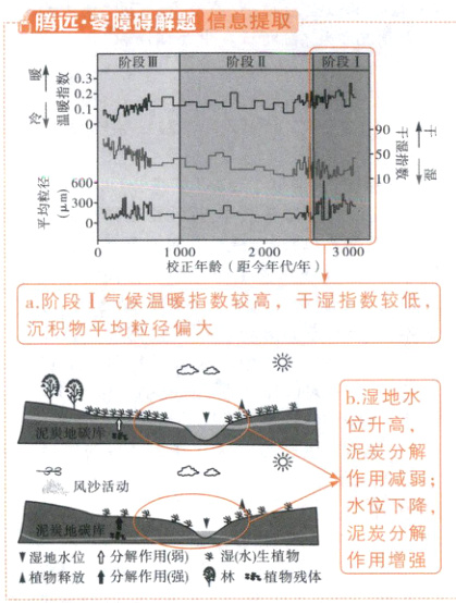 泥炭分解作用增强湿地水位翕分解作用翳湿水生植物A植物释放分解作用强林植物残体1s