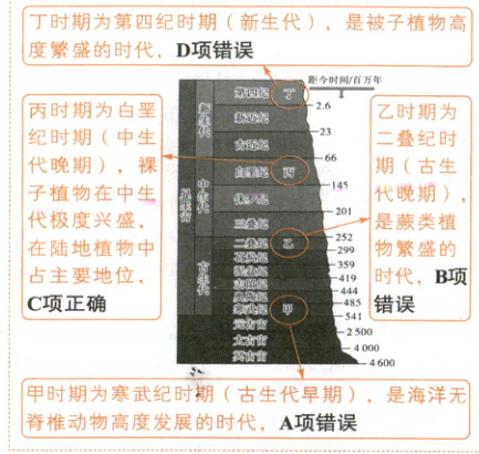 甲时期为寒武纪时期古生代早期是海洋无脊椎动物高度发展的时代A项错误