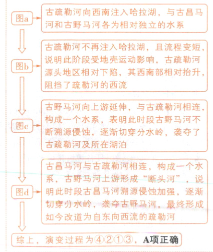 综上演变过程为421A项正确