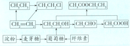 淀粉麦芽糖葡萄糖纤维素