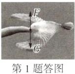 第1题答图