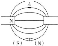 AAVSN